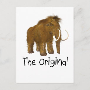 "Original" Vykort