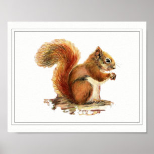 Originalfärgen Red Squirrel Natature Art Poster