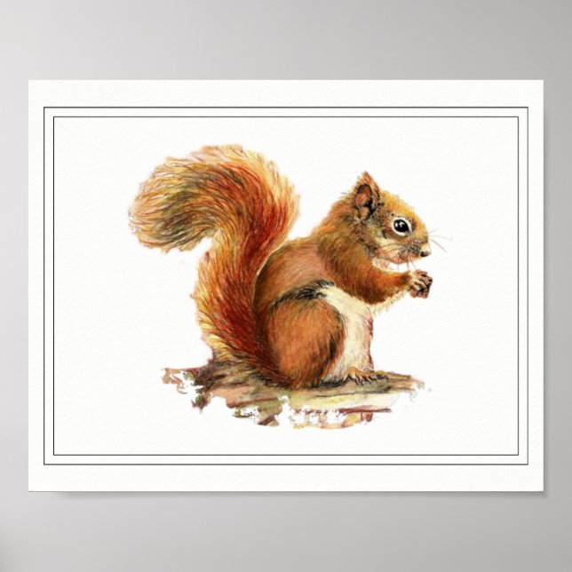 Originalfärgen Red Squirrel Natature Art Poster (Framsidan)