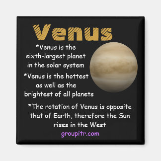 Originalgruppitr Venus Magnet