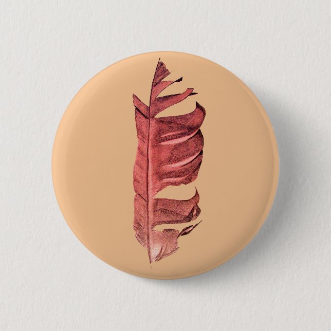 Originalillustration av bran Feather teckning Knapp (Framsida)