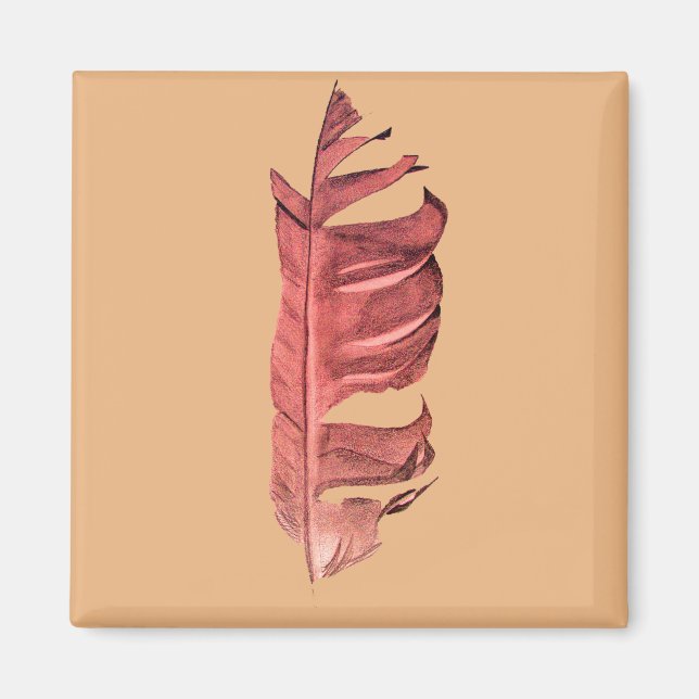 Originalillustration av bran Feather teckning Magnet (Framsidan)