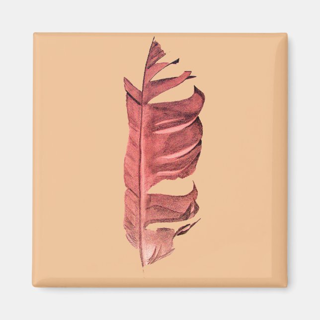 Originalillustration av bran Feather teckning Magnet (Framsidan)