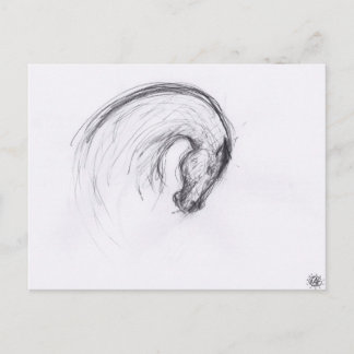 Originalteckning 2 Häst År Zodiak Postkort Vykort