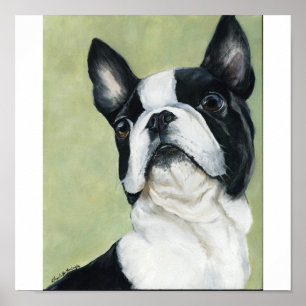 Originalteckning av Boston Terrier-Hund Poster
