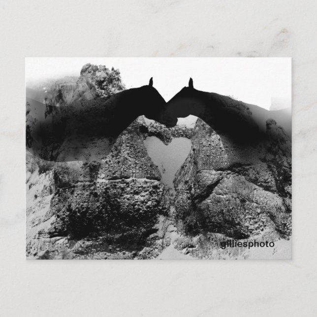 Originalvykort Vykort (Framsida)