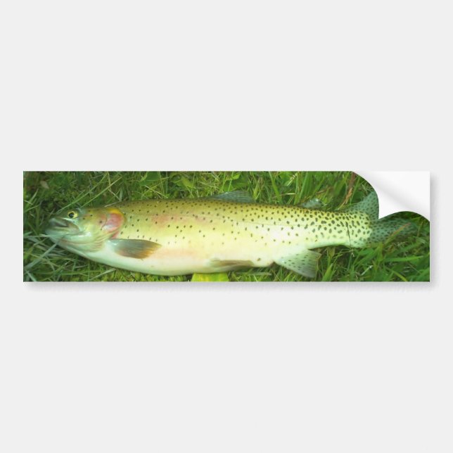 öring, fluga, fiske bildekal (Framsidan)