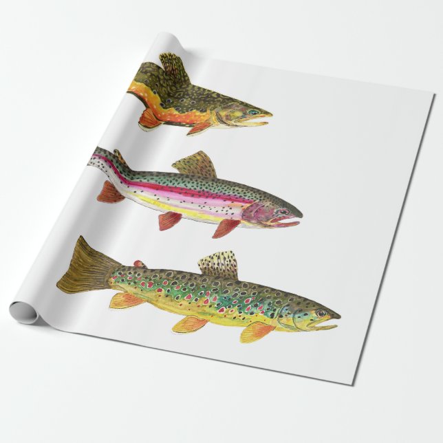Öring Flygfiske - Brook, Brown, Rainbow Presentpapper (Utrullad)