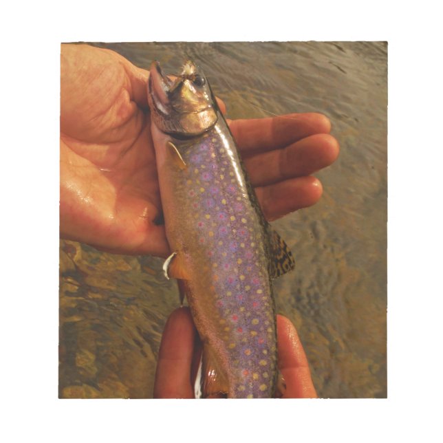 Öring i Händer Anteckningsblock (Framsida)