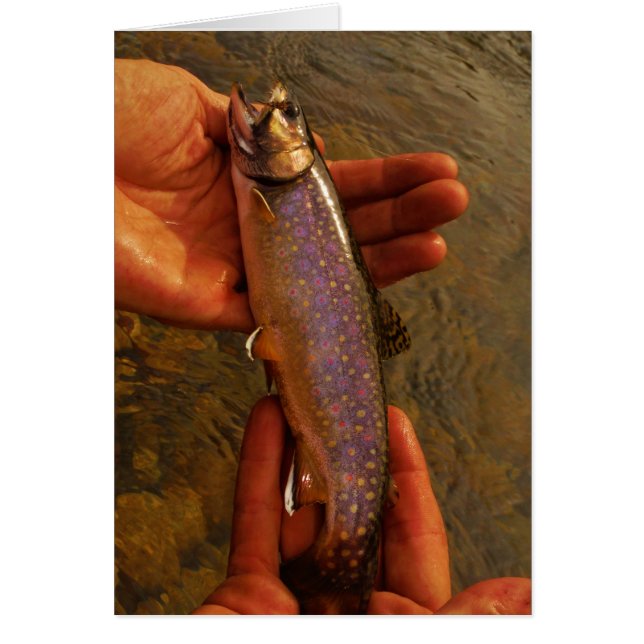 Öring i Händer Hälsningskort (Framsidan)