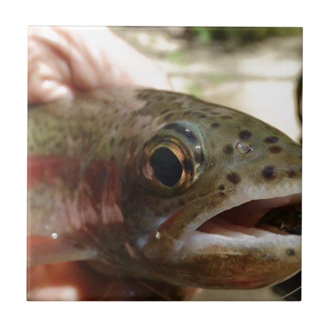 Öring i Händer Kakelplatta (Framsidan)