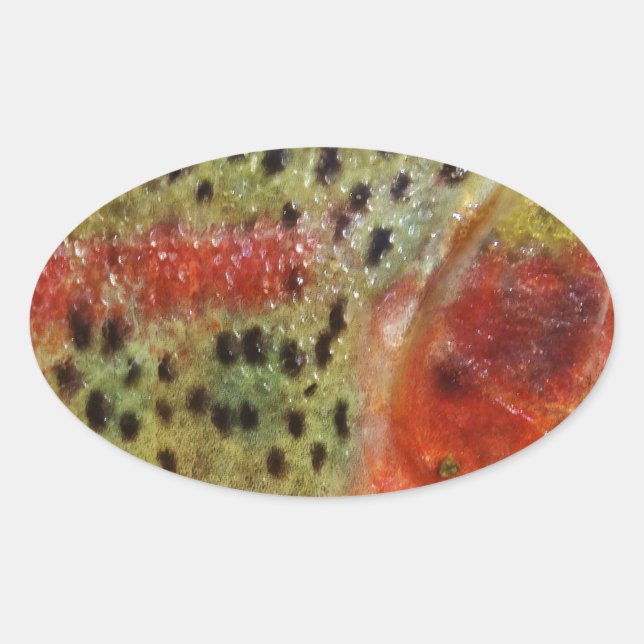 Öring i Händer Ovalt Klistermärke (Framsida)