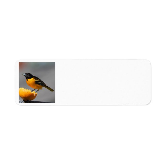 Oriole-adressersetikett Returadress Etikett (Framsidan)