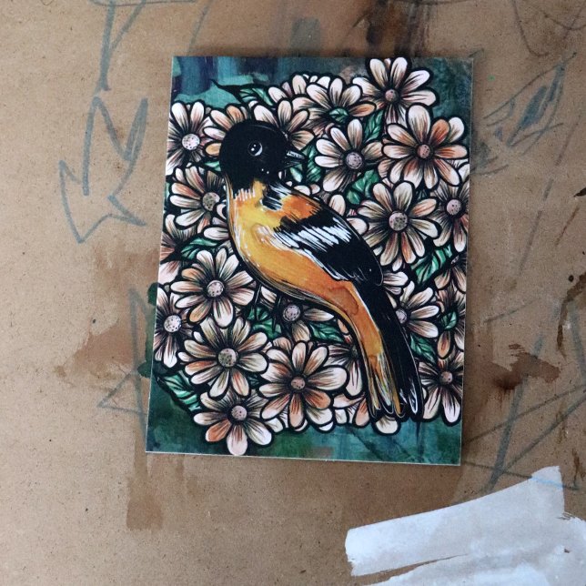 Oriole Bird Art-fågelobservationer vattenfärgen Vykort (Skapare uppladdad)