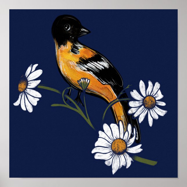 Oriole Bird Daisy Flower Nature Art Poster (Framsidan)