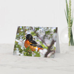 Oriole-foto Kort