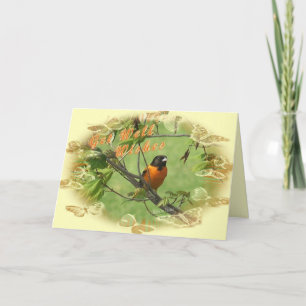 Oriole Get well-Adapze Kort