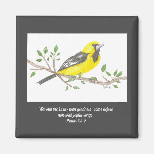 Oriole Magnet (Framsidan)