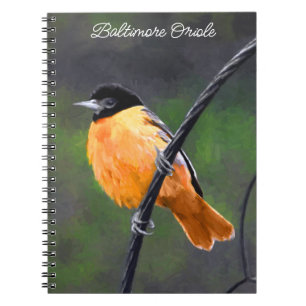 Oriole Painting - Original Bird Art Anteckningsbok
