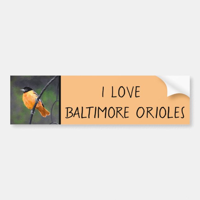 Oriole Painting - Original Bird Art Bildekal (Framsidan)