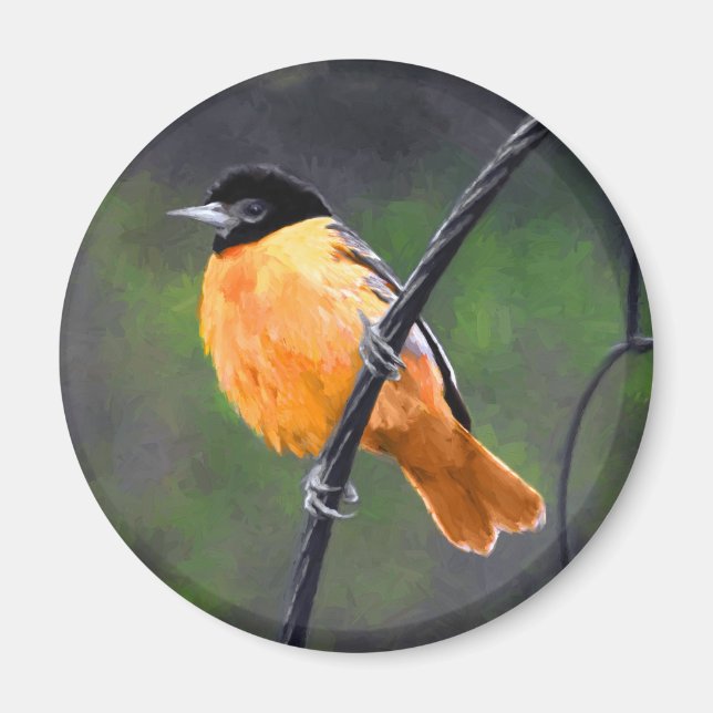 Oriole Painting - Original Bird Art Magnet (Framsidan)