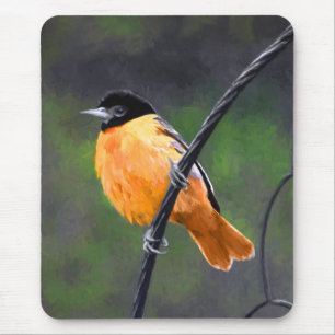 Oriole Painting - Original Bird Art Musmatta
