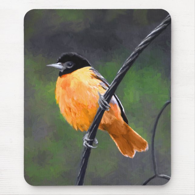 Oriole Painting - Original Bird Art Musmatta (Framsidan)