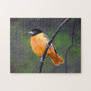 Oriole Painting - Original Bird Art Pussel