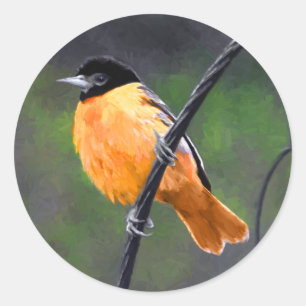 Oriole Painting - Original Bird Art Runt Klistermärke
