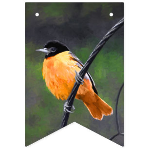 Oriole Painting - Original Bird Art Vimplar