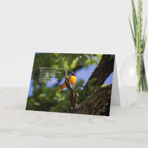 Oriole sympatikort kort