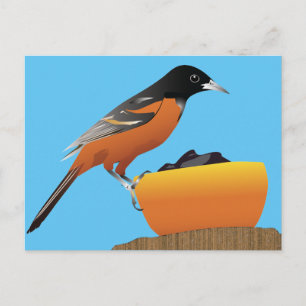 Oriole vykort