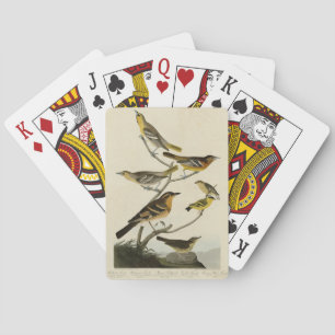 Orioles, Thrush, från Audubon's Birds of America Casinokort