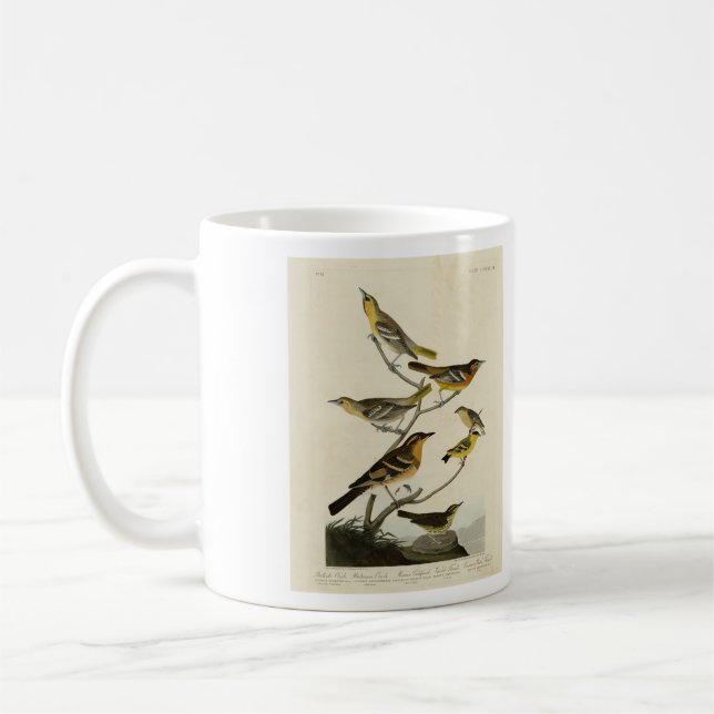 Orioles, Thrush, från Audubon's Birds of America Kaffemugg (Vänster)