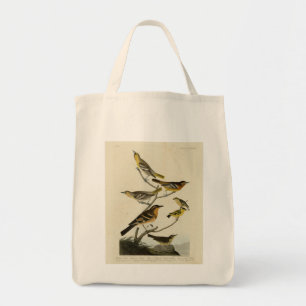 Orioles, Thrush, från Audubon's Birds of America Tygkasse