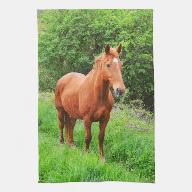 Orion Kökshandduk (Vertikal)