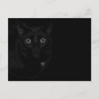 Orion Min Katt BlackOut Vykort