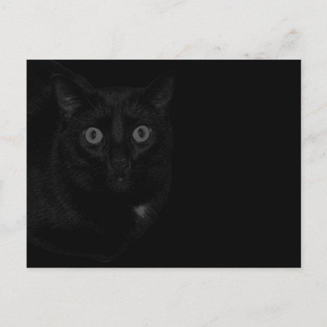 Orion Min Katt BlackOut  Vykort (Framsida)