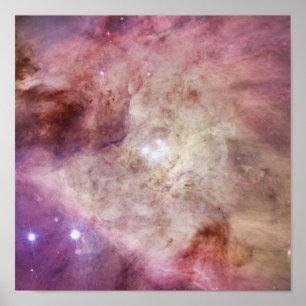 Orion Nebula rosa Poster