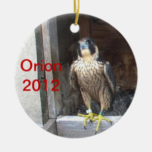 Orion prydnad 2012 julgransprydnad keramik