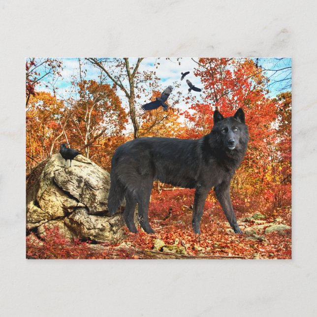 "Orion & the Kråkas" vykort (Framsida)