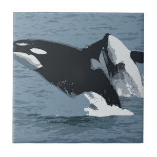 Orka Whale Kakelplatta