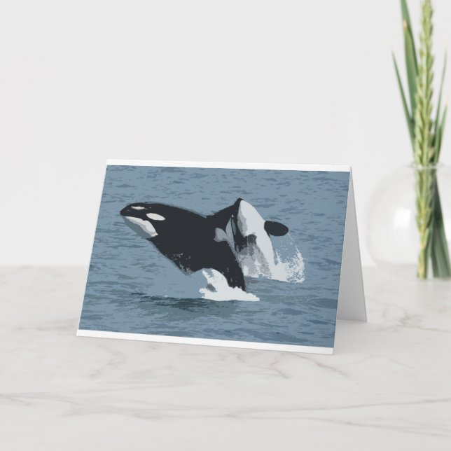 Orka Whale Kort (Framsida)