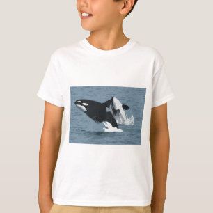 Orka Whale Tröja
