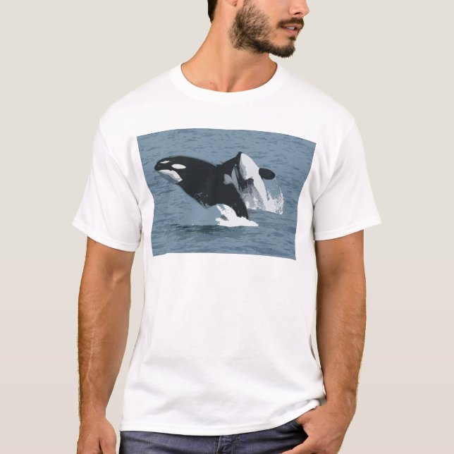 Orka Whale Tröja (Framsida)