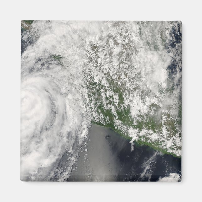 Orkan Henriette Magnet (Framsidan)