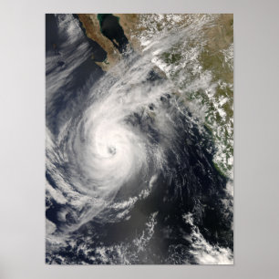 Orkan Norbert av Mexico 2 Poster