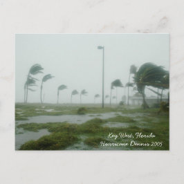 Orkanen Dennis 2005 Nyckel Väster Florida Postcard Vykort