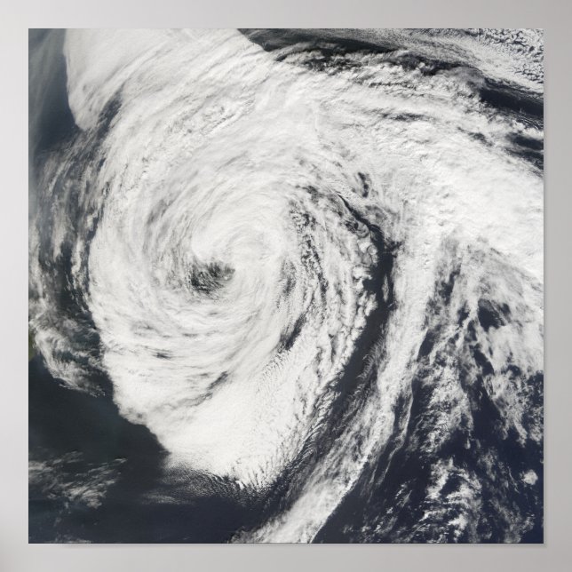 Orkanen Florence Poster (Framsidan)