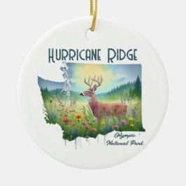 Orkanen Ridge nationalpark Souvenir Gift Julgransprydnad Keramik
